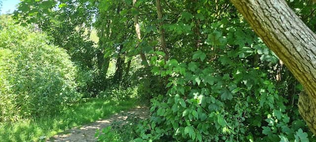Rotary Recreation Ground - Image 2