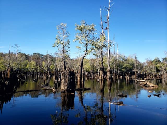 Cheniere Lake Park - Image 2