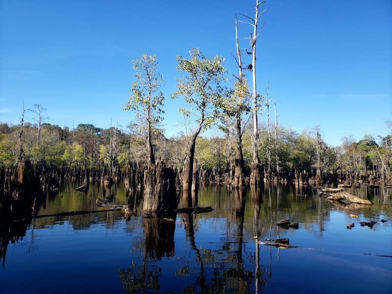 Cheniere Lake Park - Image 2