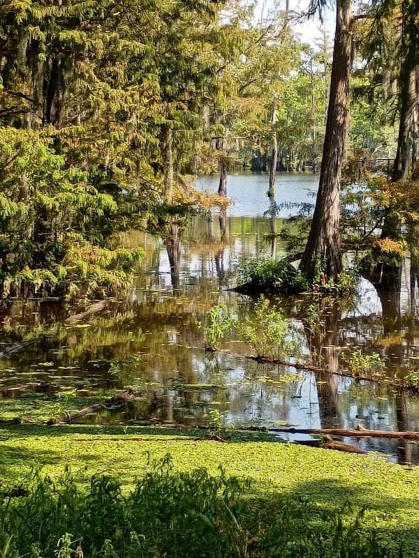 Cheniere Lake Park - Image 1