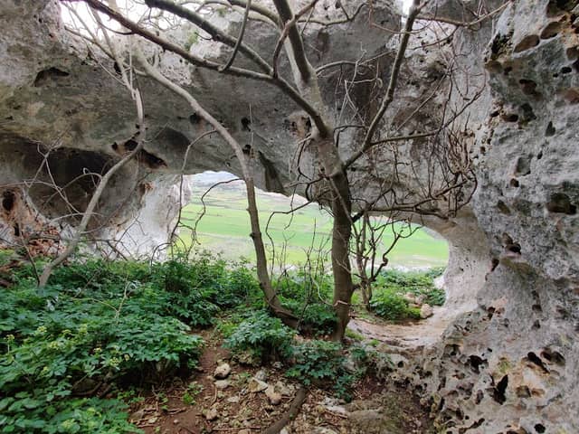 Grotta della balena - Image 2