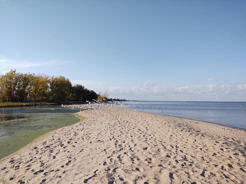 Bay City State Park - Image 1