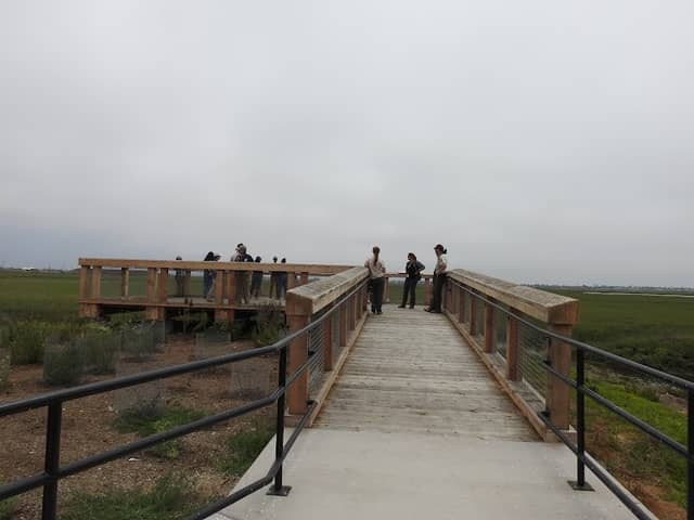 Seal Beach National Wildlife Refuge - Image 2