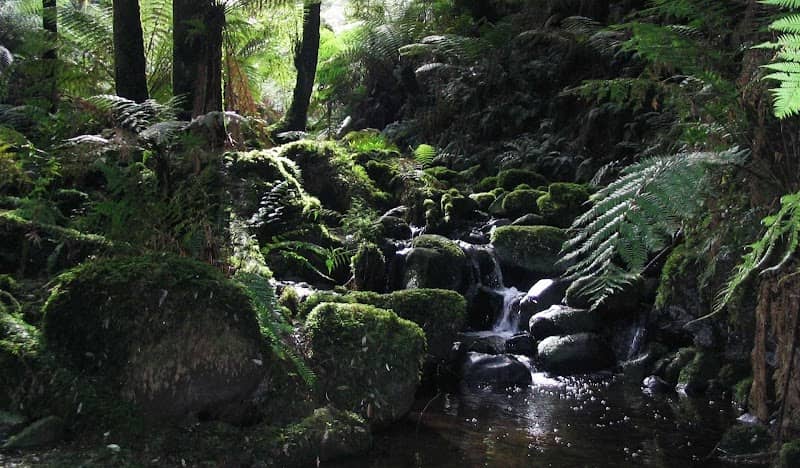 Sherbrooke Falls - Image 2