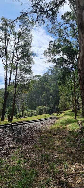 Puffing Billy Railway Board - Image 1