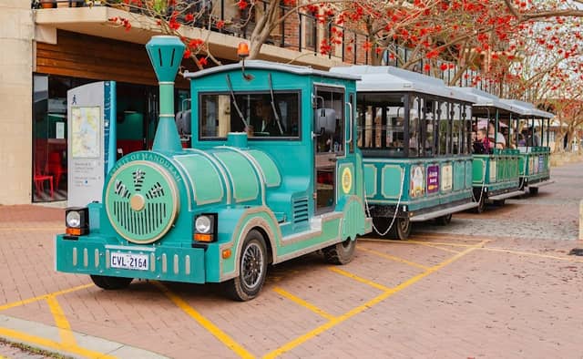 Tourist Fun Train Company - Image 2