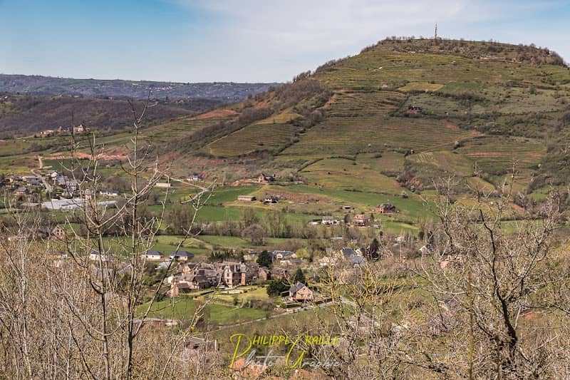 Point de vue panoramique sur les vignobles - Image 1