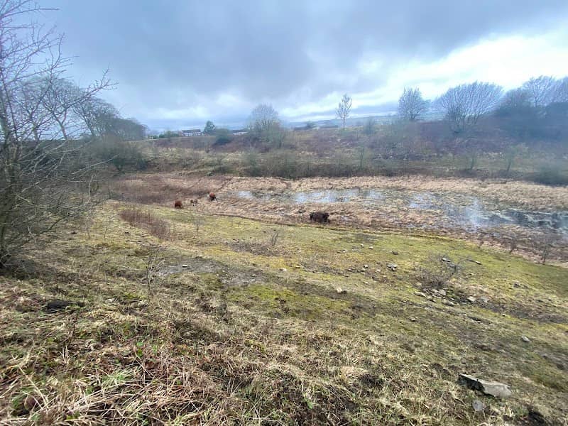 Petershill Nature Reserve - Image 1