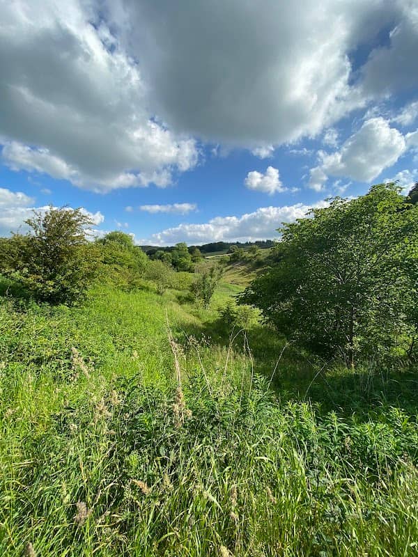 Petershill Nature Reserve - Image 2