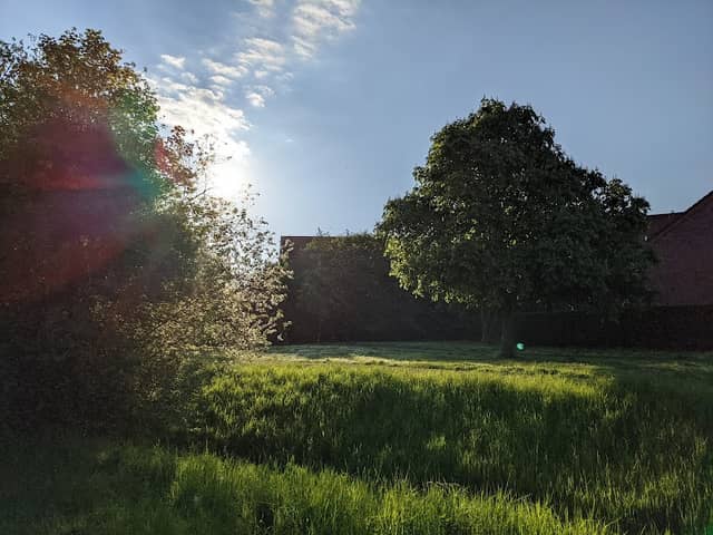Park Toppheideweg - Image 1