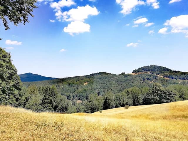 Lipka - Image 1