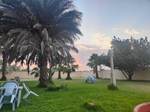 Camping Ghalya - Image 1