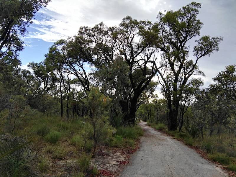 Koondoola Regional Bushland - Image 2