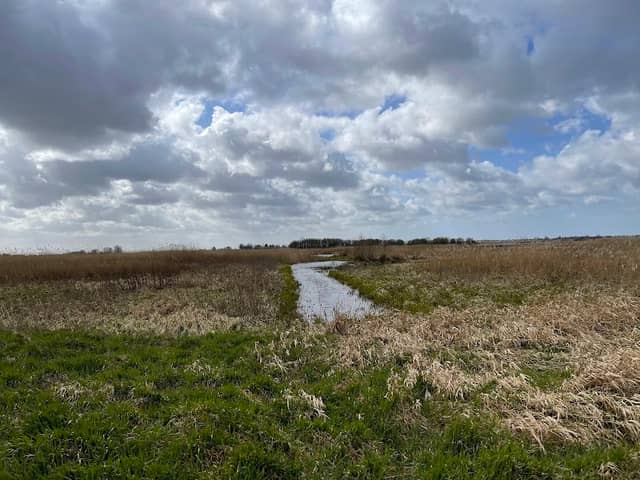 Groene Jonker - Image 1