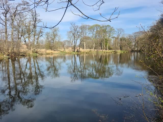 Pitfour Lake - Image 1