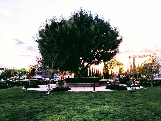 Gallery Park - Image 1