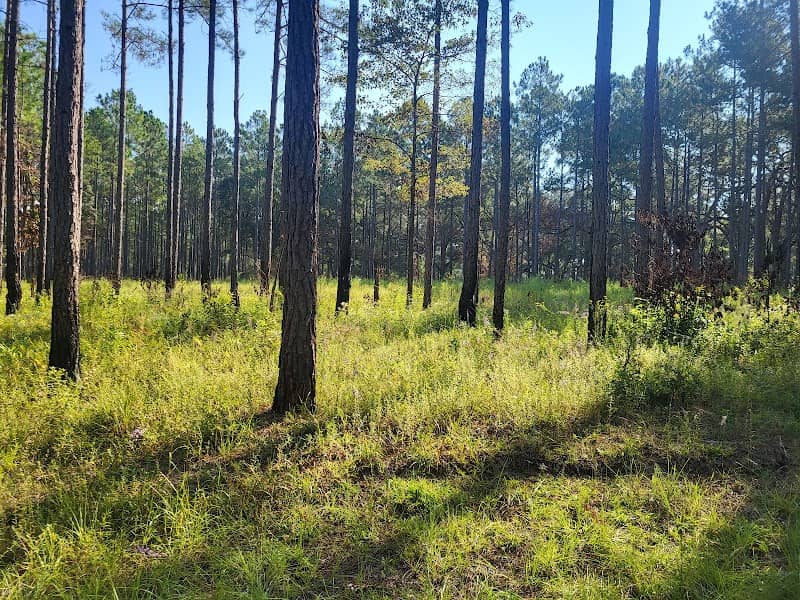 River Creek Wildlife Management Area - Image 1