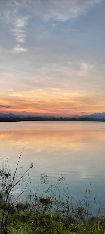 WUH Lake - Image 2