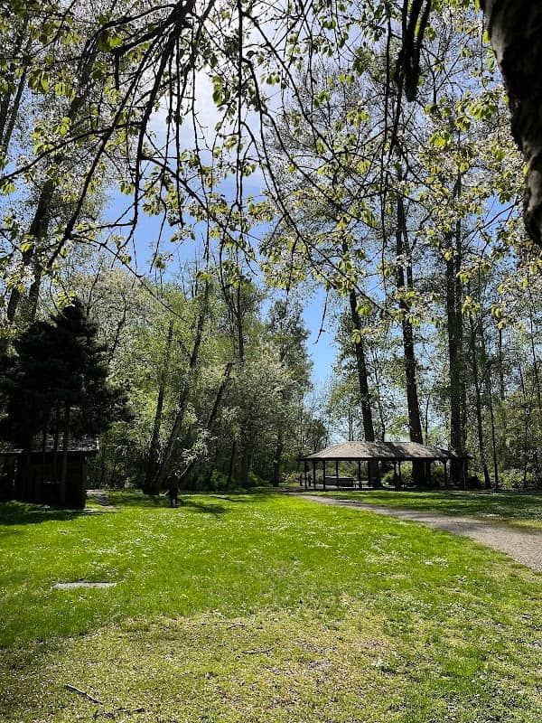 Ladner Harbour Park - Image 1