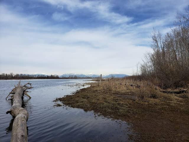 Ladner Harbour Park - Image 2