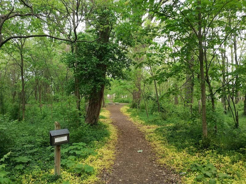 Cardiff Woods Park - Image 1