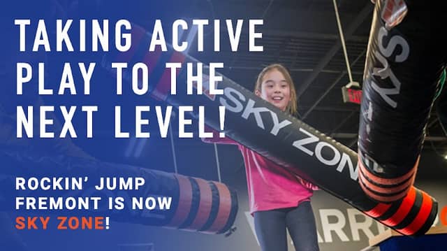 Sky Zone Trampoline Park - Image 1