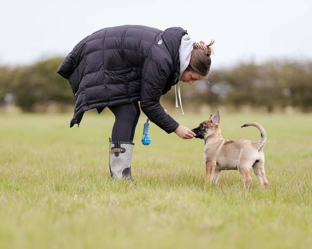 Hollym Secure Dog Walking Field - Image 1