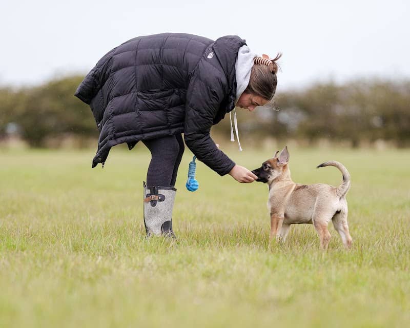 Hollym Secure Dog Walking Field - Image 1