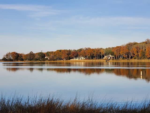 Cordwood Park - Image 1