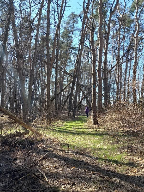 North Country Trail - Image 2