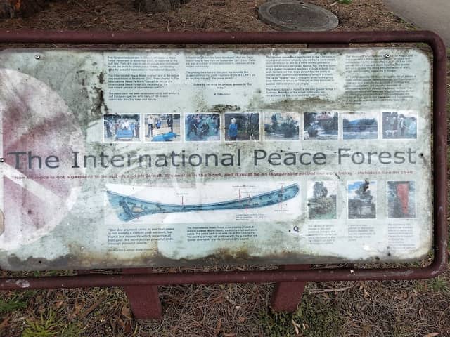 International Peace Forest - Image 1