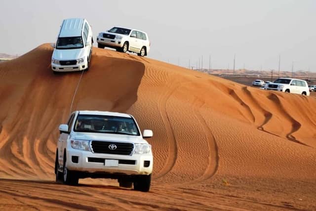 Desert safari - Image 1