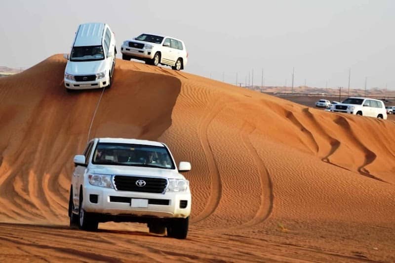 Desert safari - Image 1