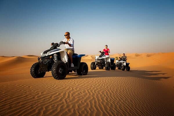 Desert safari - Image 2