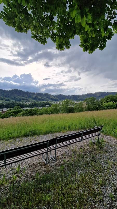 Adliswil viewpoint - Image 2
