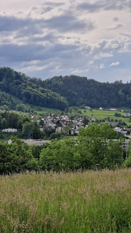 Adliswil viewpoint - Image 1