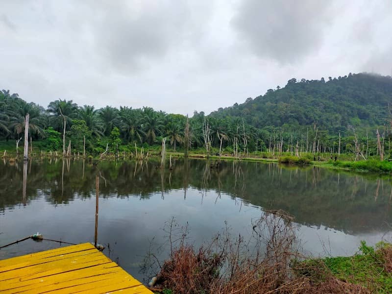 paya desa teratai - Image 1