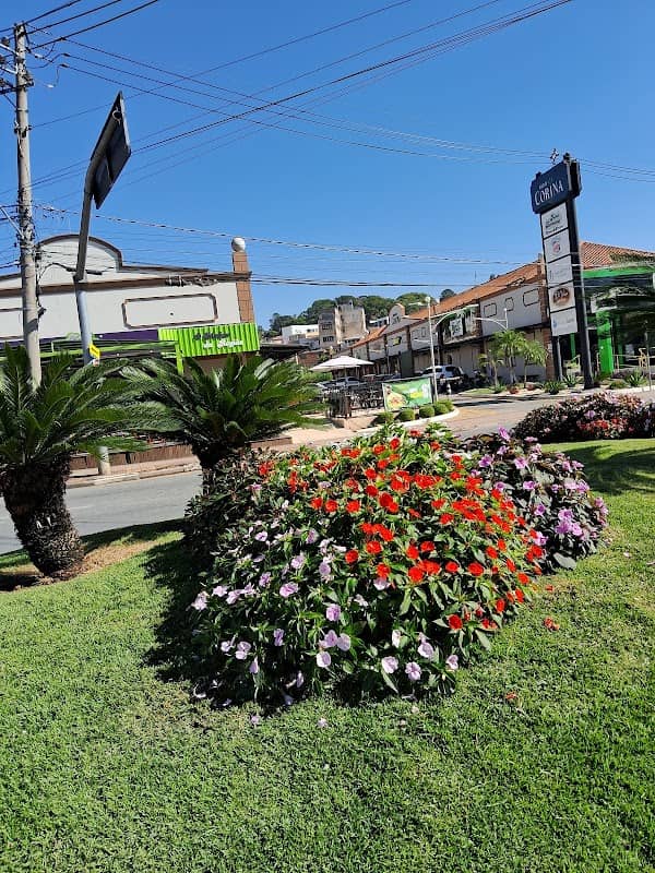 Rotatória Ornamentada - Image 1
