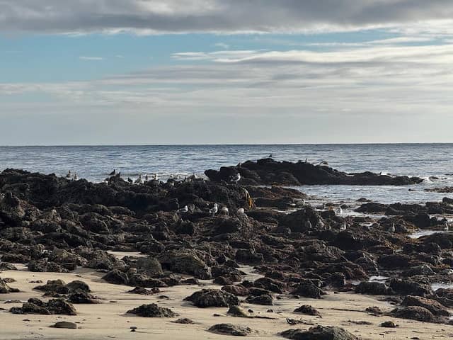 Laguna Beach - Image 2