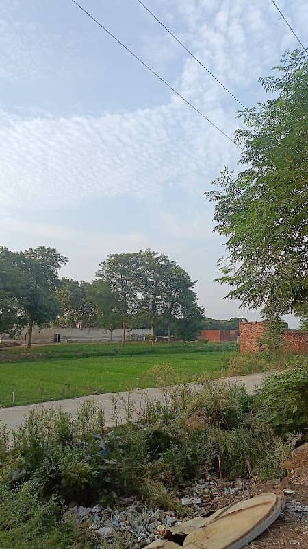 بیگن ڈا ڈیرہ - Image 1