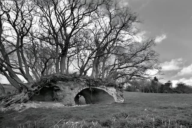 Nene Valley view - Image 1