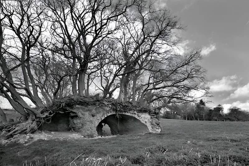 Nene Valley view - Image 1