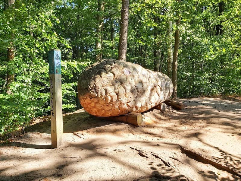 Szyszka świerkowa - Image 1