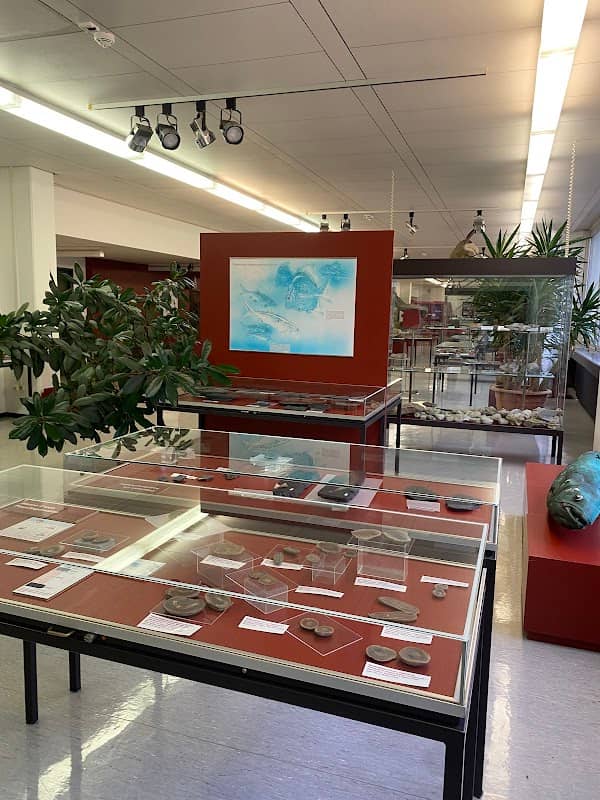 Geowissenschaftliches Museum Goettingen & Geopark - Image 1