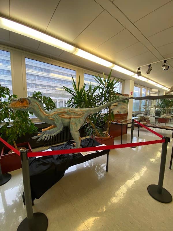 Geowissenschaftliches Museum Goettingen & Geopark - Image 2