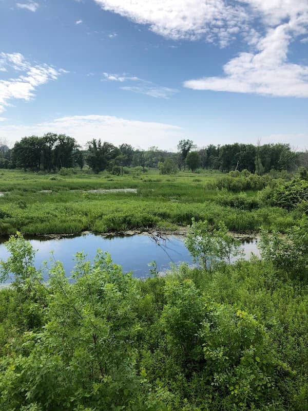Spring Bluff Forest Preserve - Image 2