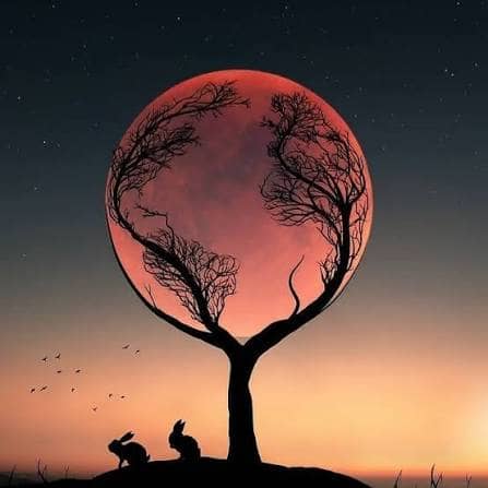 Awake - Image 1
