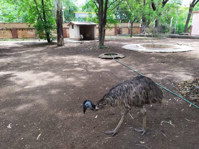 Government Zoo - Image 2