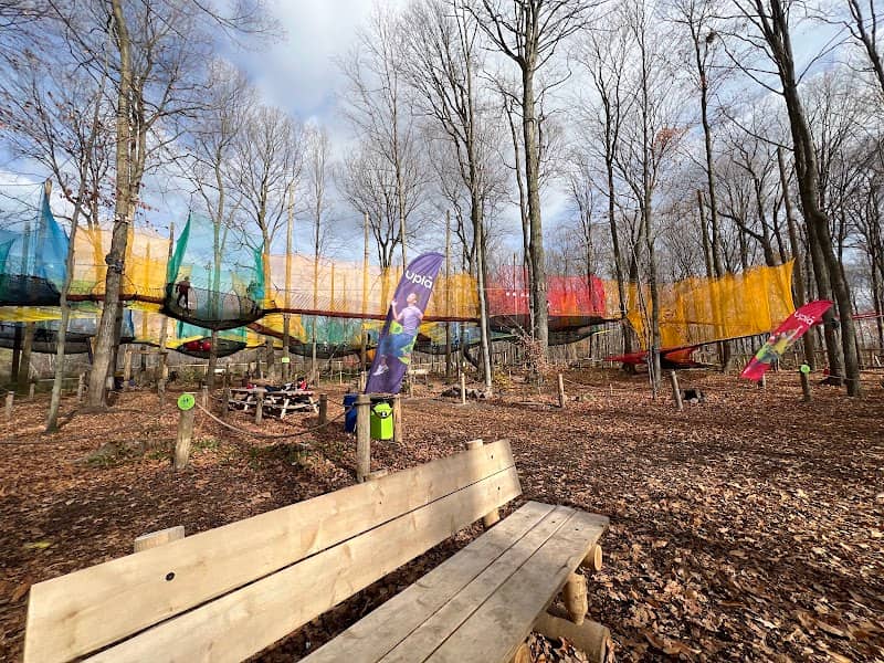 Upla Treetop trampoline park - Image 1