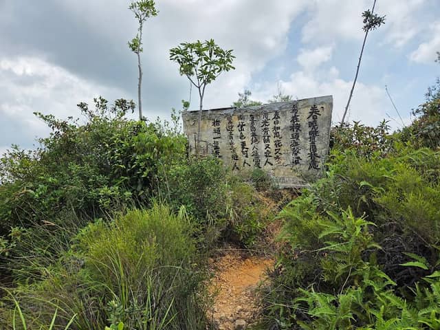 Tuen Mun Path Observation Deck - Image 3